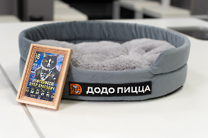 cat_stadium_21
