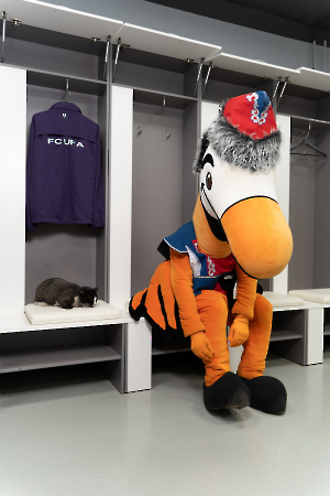 cat_stadium_23