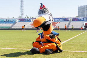 cat_stadium_36
