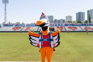 cat_stadium_39