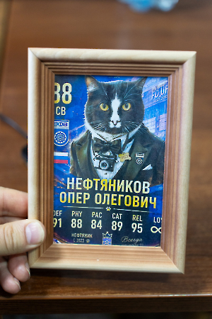 cat_stadium_3