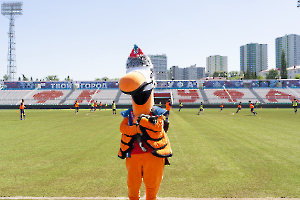 cat_stadium_40