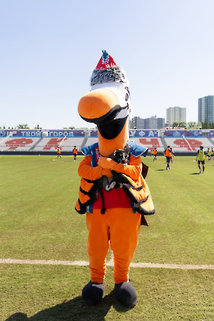 cat_stadium_42