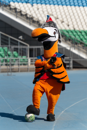 cat_stadium_54