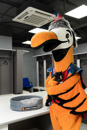 cat_stadium_9