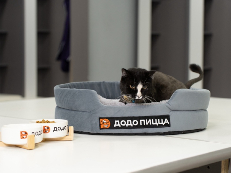 Большой подарок для нашего кота Опера!