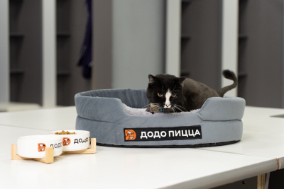 Большой подарок для нашего кота Опера!