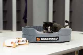Большой подарок для нашего кота Опера!