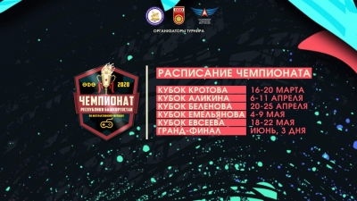 Прими участие в Чемпионате Башкортостана по интерактивному футболу FIFA 20!
